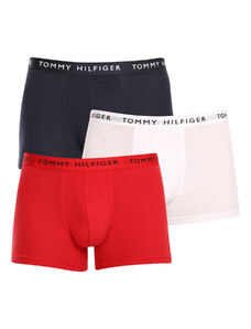 3PACK pánské boxerky Tommy Hilfiger vícebarevné (UM0UM02203 0WS)