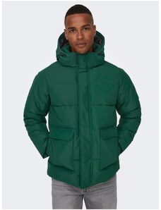 Tmavě zelená pánská prošívaná zimní bunda ONLY & SONS Carl - Pánské