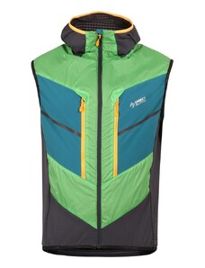 Pánská vesta Direct Alpine Alpha Vest green/emerald