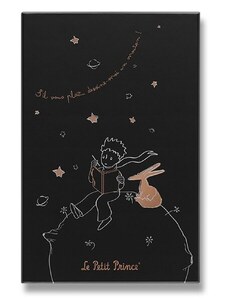 Zápisník Moleskine Le Petit Prince sběratelská edice - pevné desky - L, linkovaný 1331/1717253