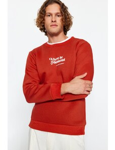 Trendyol Tile Men Men's Regular / Regular fit Crew Neck Long Sleeved Fluffy Text Printed Sweatshirt.