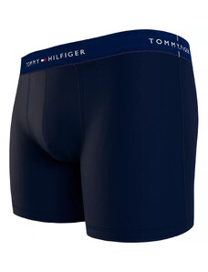 Pánské boxerky 3P BOXER BRIEF WB UM0UM027650RW - Tommy Hilfiger