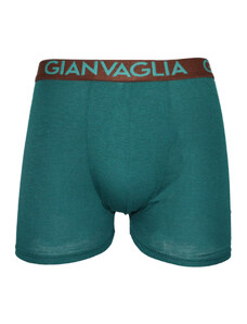 Pánské boxerky Gianvaglia zelené (024-green)