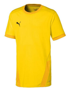 Dres Puma teamGOAL 23 Jr 704160 07