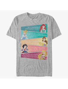 Pánské tričko Merch Disney Princesses - Princess Adjectives Unisex T-Shirt Heather Grey