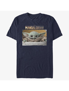 Pánské tričko Merch Star Wars: Mandalorian - Small Box Unisex T-Shirt Navy Blue