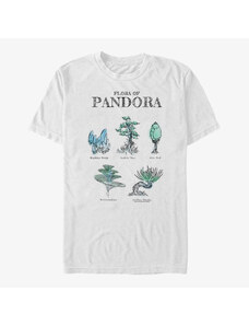 Pánské tričko Merch Twentieth Century Fox Avatar 1 - Pandora Flora Sketches Unisex T-Shirt White
