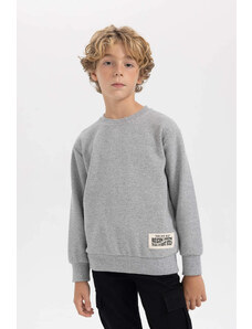 DEFACTO Regular Fit Crew Neck Sweatshirt