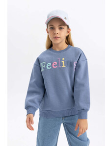 DEFACTO Regular Fit Crew Neck Sweatshirt