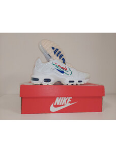 Nike air max plus