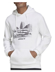 Mikina adidas Originals Trefoil C Hoody2 M HC7164 pánské