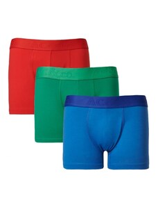 AC&Co / Altınyıldız Classics Men's Sax-Red 3-Pack of Flexible Cotton Boxers.