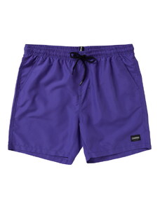 Pánské boardshorty Brand Swimshorts, Purple