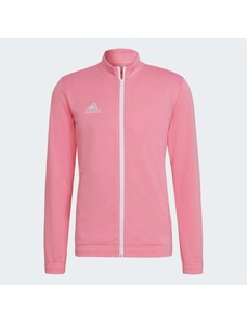 Adidas Bunda Entrada 22