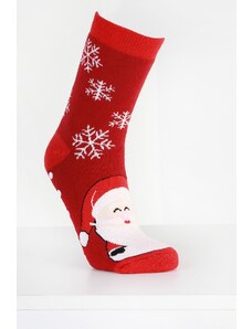 Hobby day sock Vánoční ponožky ZP-1