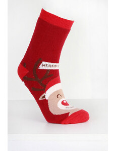Hobby day sock Vánoční ponožky ZP-2