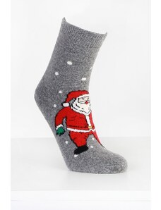 Pesail Vánoční ponožky SD14G