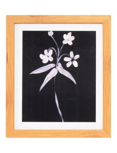 Obraz Somcasa Lily 30 x 25 cm