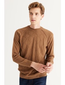 ALTINYILDIZ CLASSICS Men's Mink Standard Fit Normal Cut Crew Neck Jacquard Knitwear Sweater.