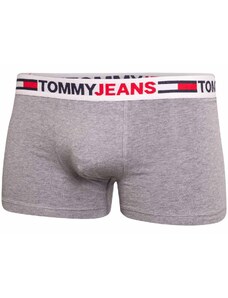 Tommy Hilfiger Jeans Tommy Hilfiger UM0UM02401P4A