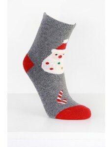 Pesail Ponožky s vánočním potiskem SD16G