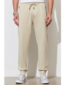 ALTINYILDIZ CLASSICS Men's Beige Standard Fit Regular Cut Sweatpants