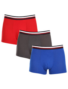 3PACK pánské boxerky Tommy Hilfiger vícebarevné (UM0UM03035 0UG)