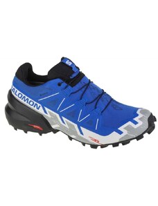 Pánská běžecká obuv Salomon Speedcross 6 GTX modrá velikost shoes 45 1/3