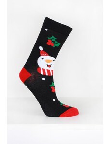 Pesail Vánoční ponožky DB612-4