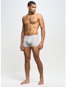 Big Star Man's Boxer Shorts Underwear 200033 Grey 901