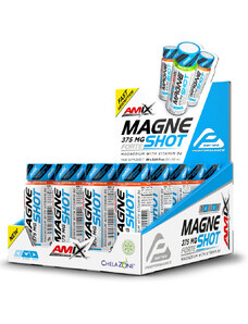 Amix Performance MagneShot Forte 375 mg 20 x 60 ml