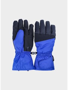 4F Pánské lyžařské rukavice Thinsulate