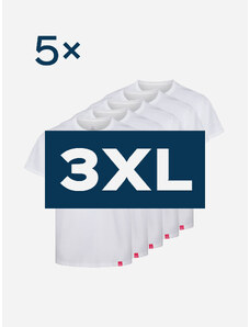 CityZen Pětipack bílých pánských triček AGEN - 3XL