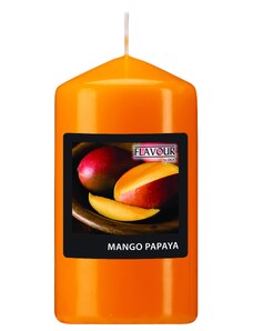 Gala Vonná svíčka válec Mango-Papaya