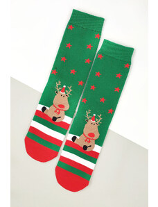 Pesail Vánoční ponožky DB612-7