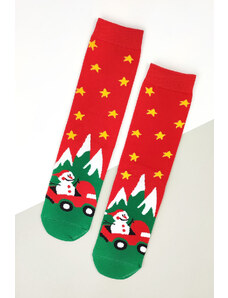 Pesail Vánoční ponožky DB612-8