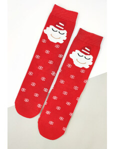 Pesail Vánoční ponožky DB611-1