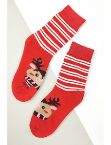 Pesail Termo vánoční ponožky SDW504-1