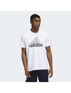 Adidas Sketch Badge of Sport Graphic T-Shirt