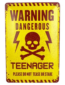 DODINO Plechová cedule Warning Dangerous Teenager 20 x 30 cm