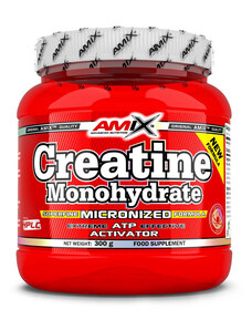 Amix Creatine monohydrate 300 g