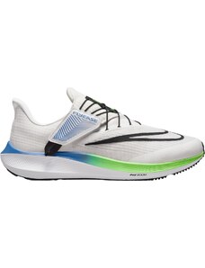 Běžecké boty Nike Pegasus FlyEase dj7381-006 EU