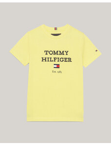 TOMMY HILFIGER TH LOGO TEE