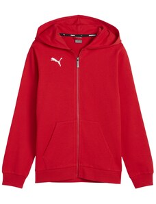 Mikina s kapucí Puma teamGOAL Casuals Hoodie Kids 658596-01