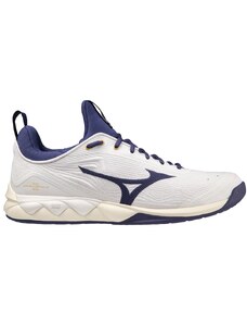 Indoorové boty Mizuno WAVE LUMINOUS 2 v1ga2120-43