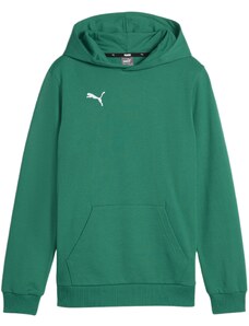 Mikina s kapucí Puma teamGOAL Casuals Hoody Kids 658619-05