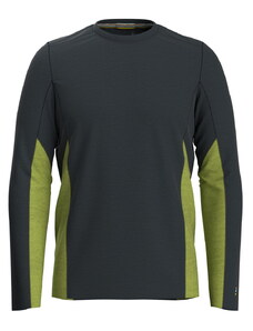 Pánské outdoorové tričko s dlouhým rukávem Smartwool M Merino Sport Long Sleeve Crew Charcoal heather-dark citron