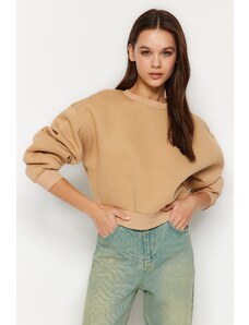 Trendyol Beige Comfort Fit Crop Basic Crew Neck Fleece Inside Knitted Sweatshirt