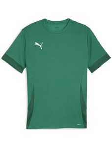 Dres Puma teamGOAL Matchday Jersey 705747-05