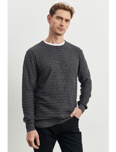 ALTINYILDIZ CLASSICS Men's Anthracite Standard Fit Normal Cut, Bicycle Collar Patterned Knitwear Sweater.